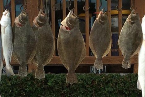 Fish caught with Parrot Eyes Watersports