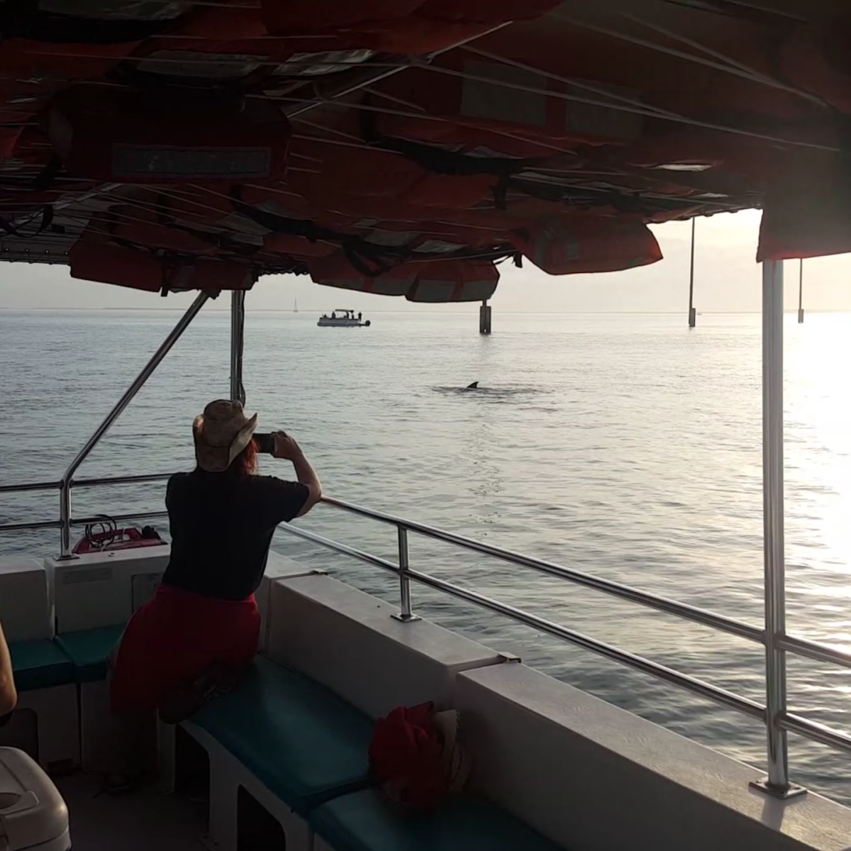 Screenshot_20170214-143921