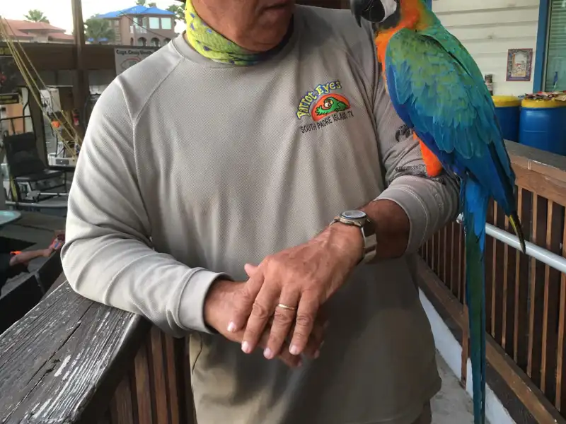a man holding a bird